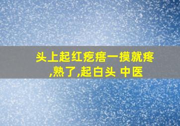 头上起红疙瘩一摸就疼,熟了,起白头 中医